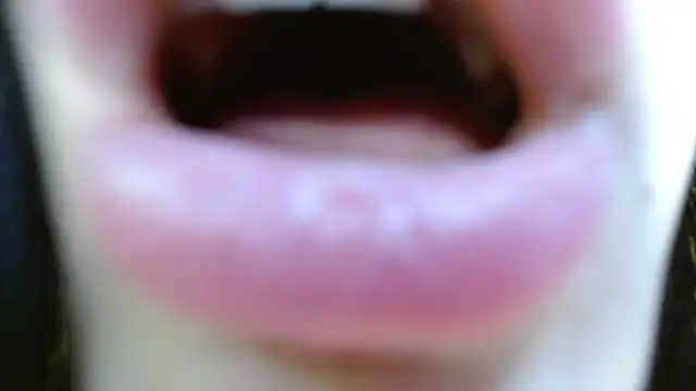 Beck_adder – Live XXX-chat