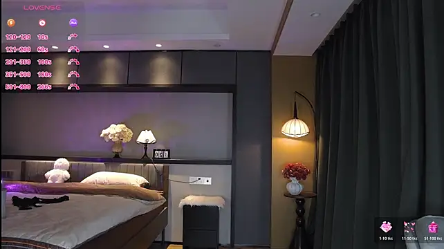 عرض كام AYW-21