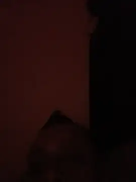 Str8ANIMAL Webcam-Show