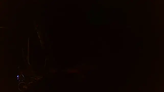SissiDominationのウェブカメラショー