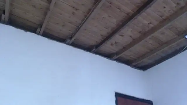 ROOKERT élő XXX-chatje