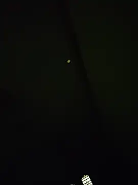 jaanubabyb Live XXX Chat