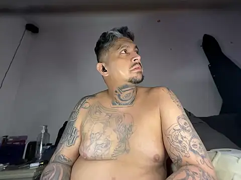 Show Webcam de Vision1285