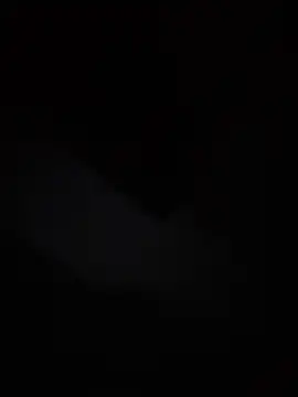 Ritz-1 Webcam-Show