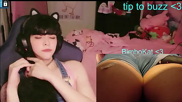 BimboCat: онлайн-секс-чат