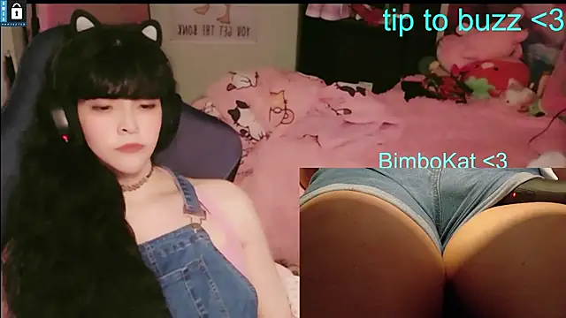 BimboCat Chat XXX in diretta