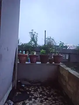 XXXking26 লাইভ XXX চ্যাট