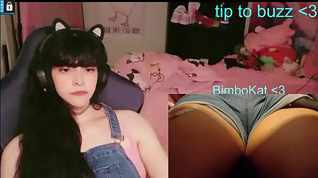 BimboCat – Live XXX-chat
