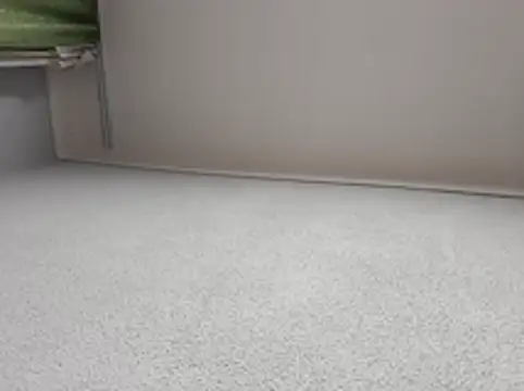 mariusSingurのウェブカメラショー