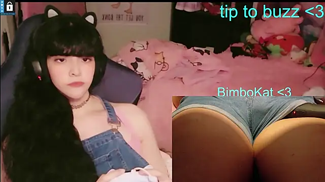 BimboCat élő XXX-chatje