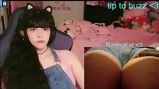BimboCat: απευθείας συνομιλία ΧΧΧ