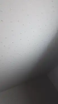 xxii3377 Show in webcam
