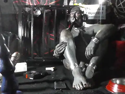 wormobject's Live XXX Chat