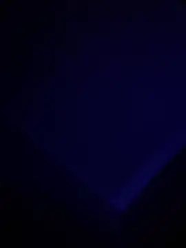 JuRuBandz21 Show in webcam