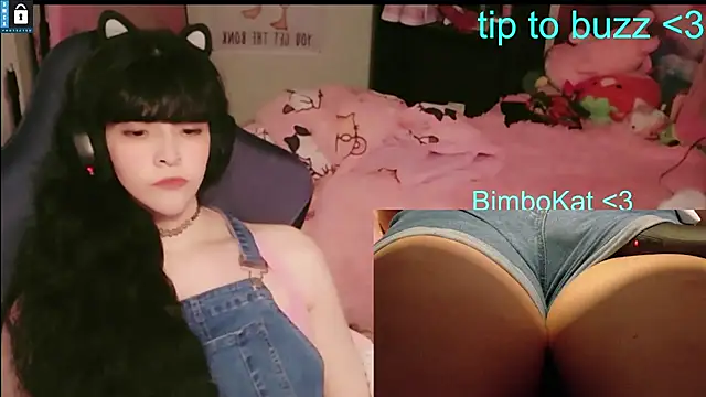 BimboCat Live XXX Chat