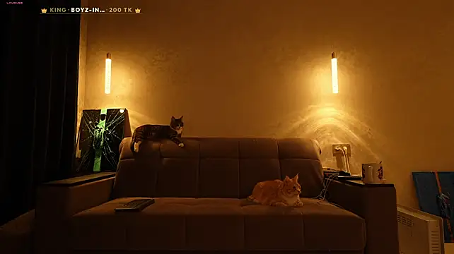 Živý XXX chat 69littlebig69