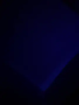 Show webcam de JuRuBandz21