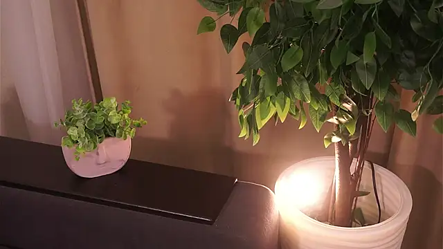 دردشة MagenMitchiner الجنسية المباشرة