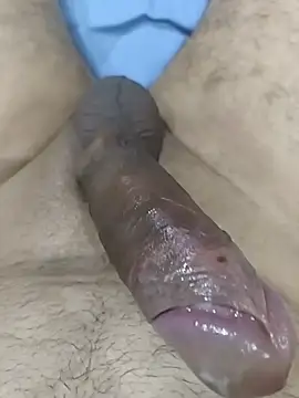 Chat XXX en directo de MalditoModelo
