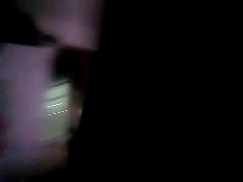 Show webcam de wa379