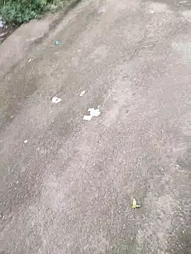 lambakooli Obrolan Langsung XXX