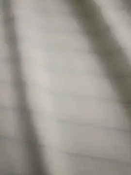 Str8ANIMAL webkamerás műsora