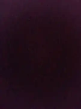 sk022 即時 XXX 聊天