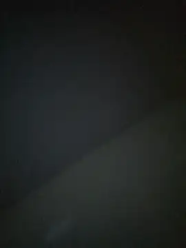 thespontaneouscouple42069 Webcamshow