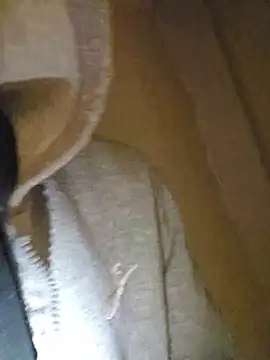 Yankinggg Live XXX Chat