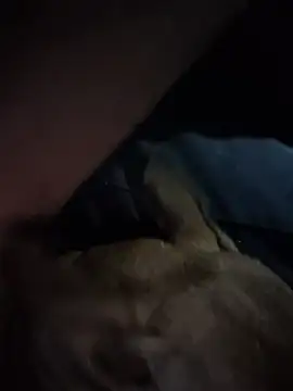 Živý XXX chat FloppyPickle4u