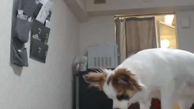 Živý XXX chat raterate555