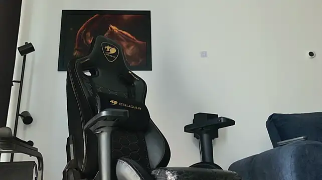 Show webcam de ChrisKox
