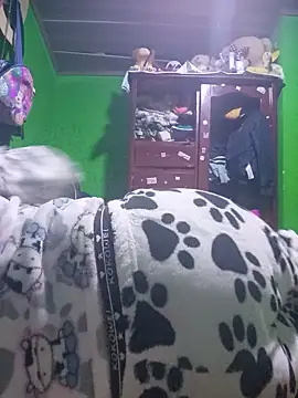 Chat XXX en directo de Zoe_aylor