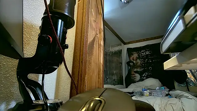 savageconfidence Live XXX-Chat