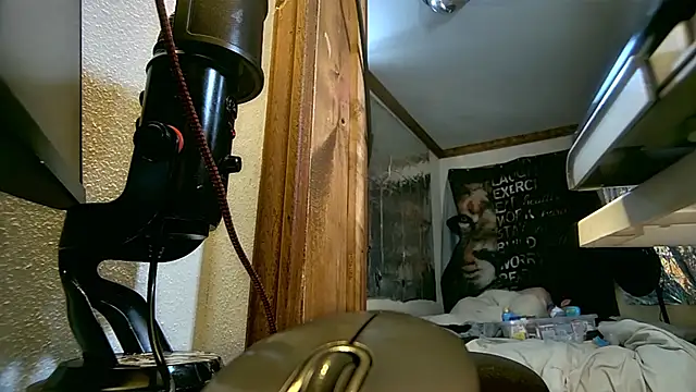 savageconfidence's Live XXX Chat