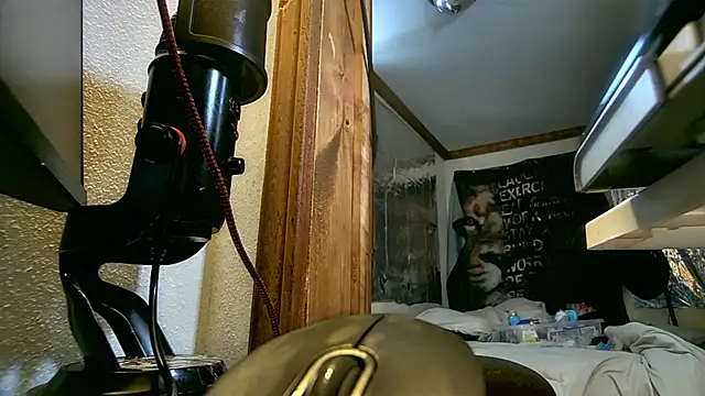 savageconfidence Live XXX-chat