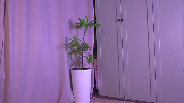 Онлайн чат XXX tgirlfoxy