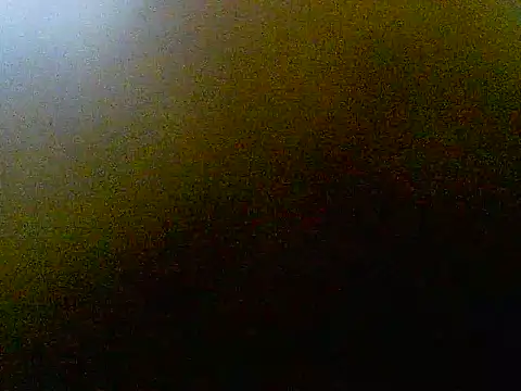 VErgoDW 网络视讯表演