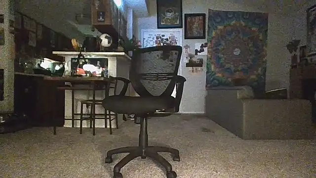 2attract's Webcam Show