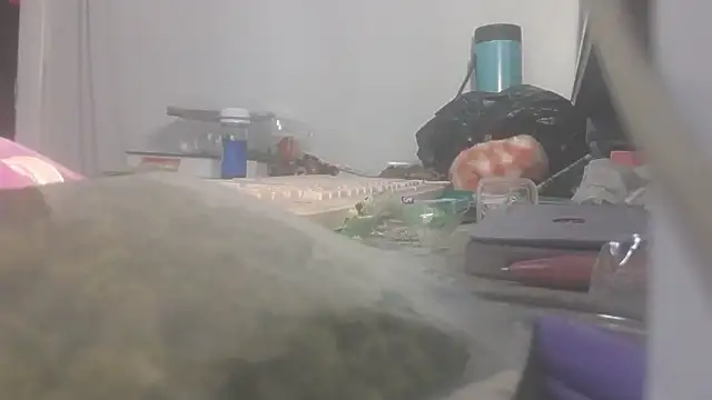Show webcam de nastydianastrips