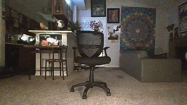 2attract Webcam-Show