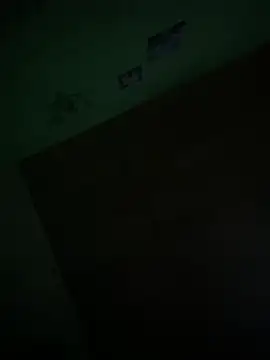 Show webcam de chaos999
