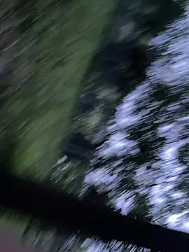 הופעת וובקאם של albxc