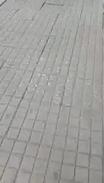 צ'אט XXX בשידור חי של Brenda_Berck_
