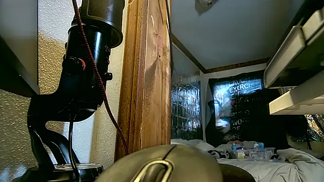savageconfidence live XXX chat