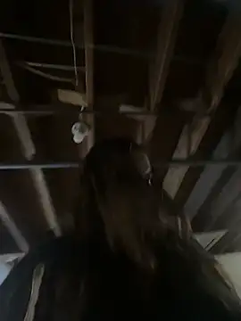 IvanaPlenty Chat XXX live