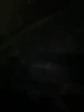 Онлайн чат XXX _AnneMia_