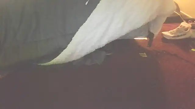 Yankeedave420 Live XXX-chat