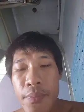 Teamnoi Pertunjukan Webcam