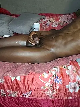Chatroom XXX en direct de THATHAIRYTALLDUDE